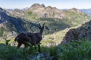 Domenica 17 luglio 2016 – P.zi Becco e Farno - FOTOGALLERY